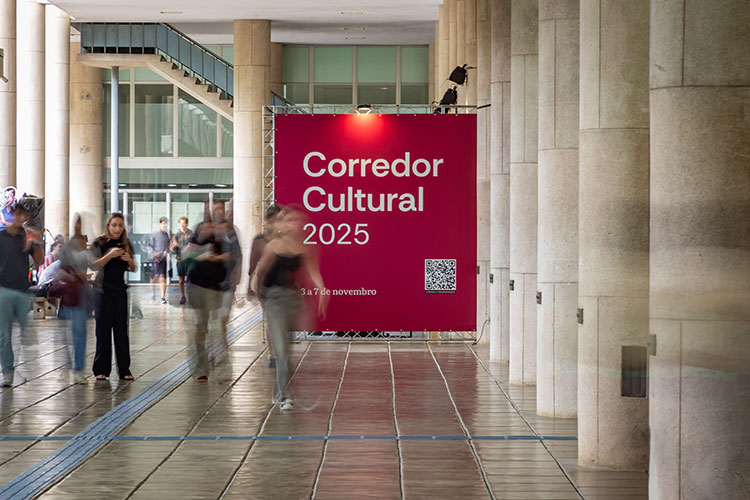 Carnaval de culturas integra ensino, diversidade, inclusão